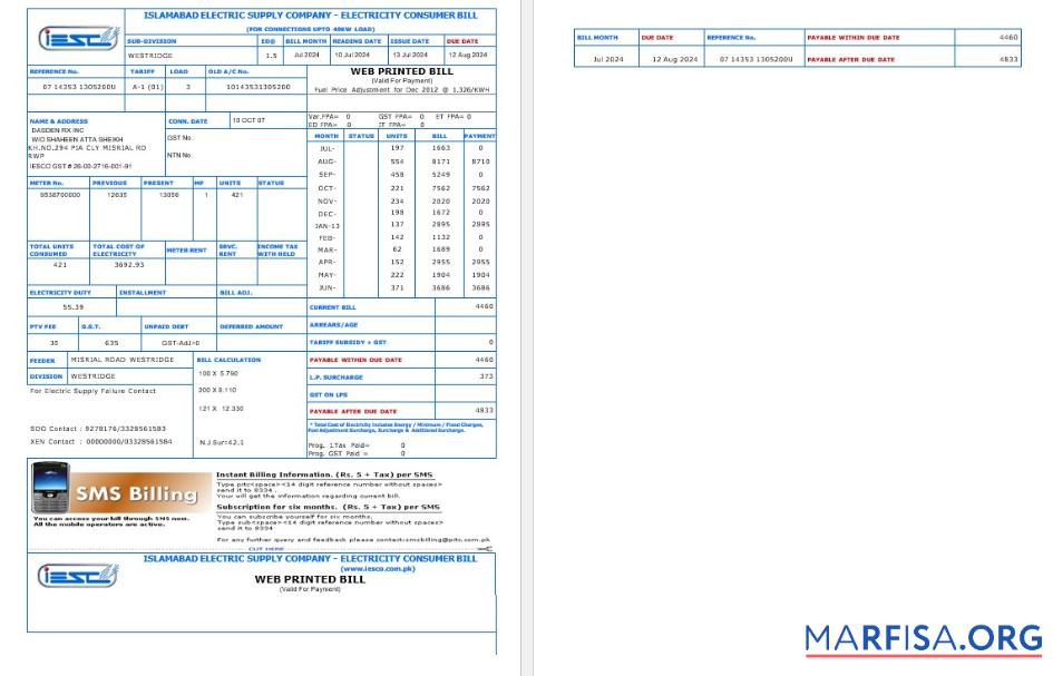 Realistic PAKISTAN IESC business utility bill Word and PDF template